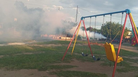 Aumento de casos de dengue: fumigan en 50 barrios de Córdoba capital