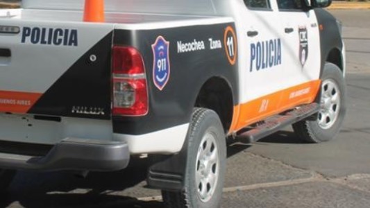 Hallan restos de dos brazos semicalcinados en una vereda