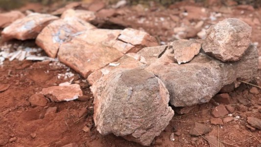 Hallaron el fémur de un titanosaurio en Neuquén