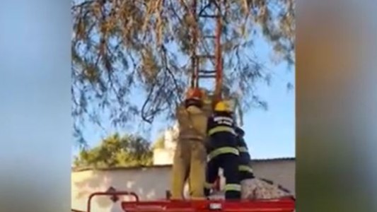 Se recupera la niña de siete años herida por la explosión de un pozo negro