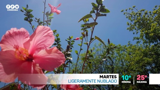 Ligeramente Nublado. Mínima 10º, máxima 25º