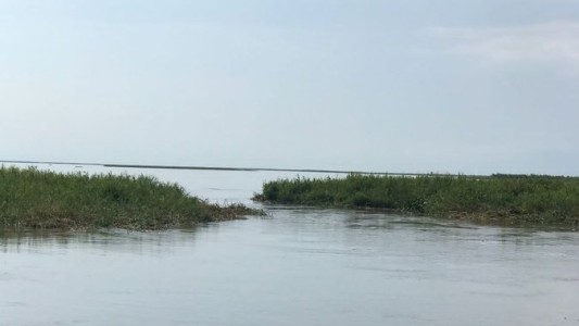 Video: Después de cuatro días de trabajo, se logró abrir paso en el embalsado de la Laguna Setúbal