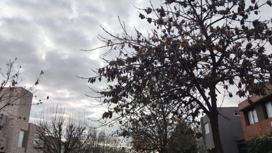 Vuelven las nubes