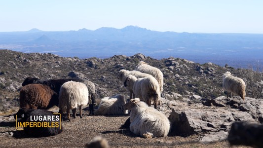 Lugares Imperdibles: ¿Conocías el recorrido de la Ruta 28?