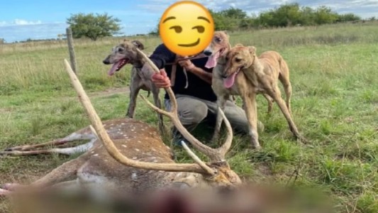 Cayó el “descuartizador de ciervos” que ocultaba su identidad con emojis