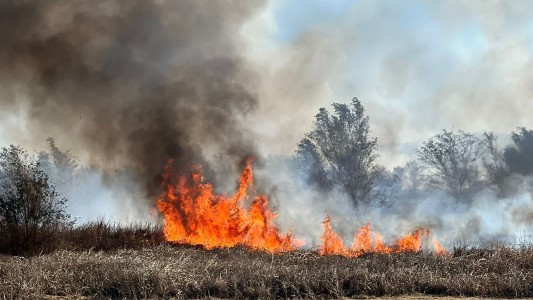 Humo en Córdoba: incendio en pastizales cercanos a la avenida Circunvalación