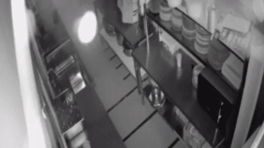 Video: sonó la alarma de su local, miró las cámaras y se encontró con algo aterrador