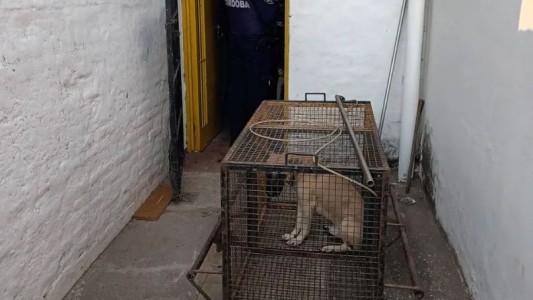 Hallaron dos jubilados muertos en el interior de una vivienda