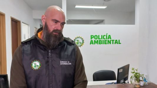 Apareció un ciervo colorado en el aeropuerto