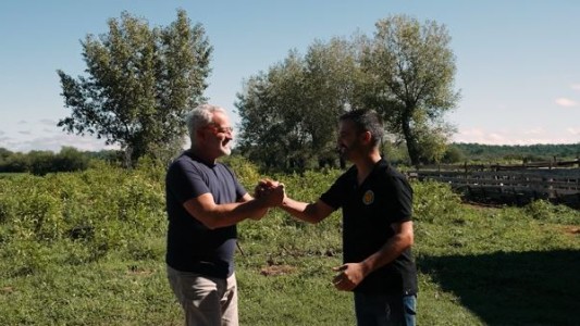 Leche de cabra en Córdoba y la producción de quesos en el noroeste de la provincia