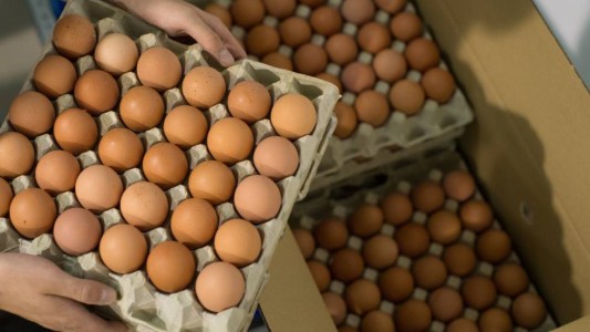 Cuesta un huevo: se viene el 16° aumento en el año