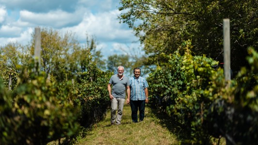 ¡Vení con nosotros al noroeste cordobés! Probamos malbec y aceites de oliva
