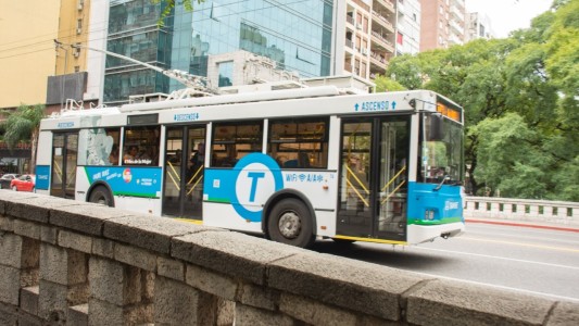 Por un corte de servicio eléctrico las líneas del trolebus se ven afectadas