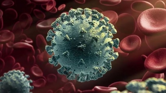 La OMS detectó una nueva variante de coronavirus en Argentina: los síntomas