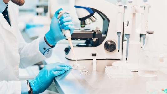 Rechazan un pedido de gestación por sustitución y piden su regulación