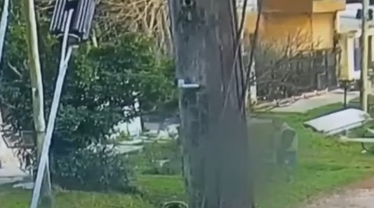 Fue filmado sacando un cadáver a la calle en Florencio Varela: quedó preso