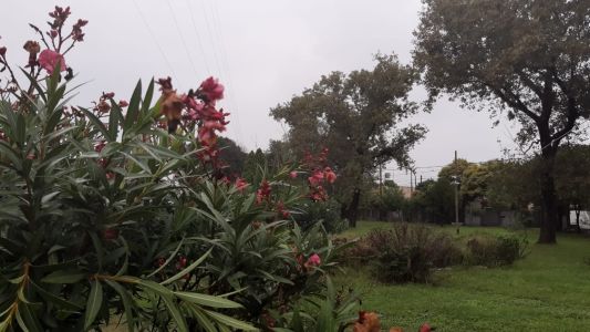 Otra vez viento sur