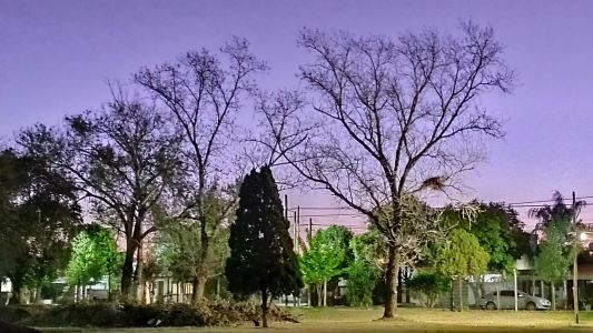 Soleado y ventoso