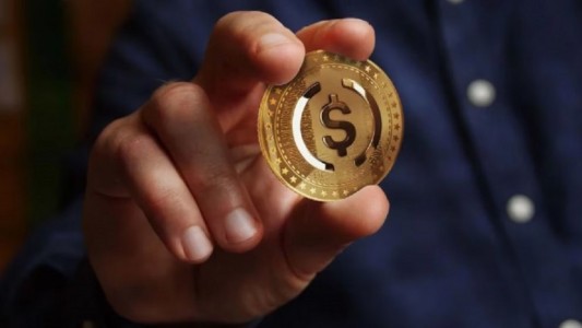 Cómo es la idea del Peso Argentino Digital