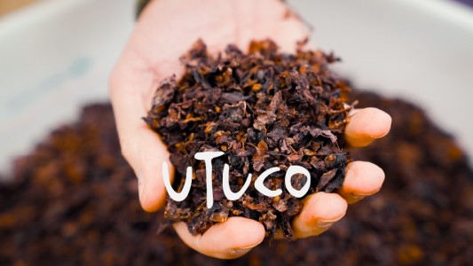 Los beneficios de la Harina de Uva