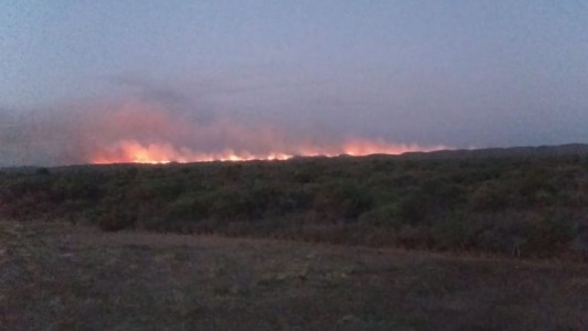 Fuego en la provincia: Sigue el combate contra un incendio forestal en el norte iniciado por un rayo