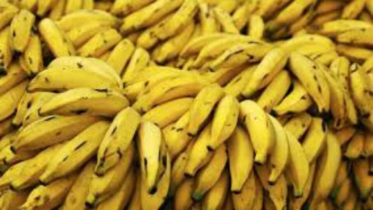 La Argentina empezó a pagar deudas y los bolivianos liberan sus cargamentos de bananas