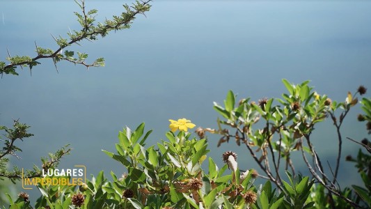 LUGARES IMPERDIBLES: PAISAJE MÁGICO DEL DIQUE LA VIÑA