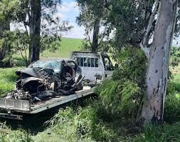 Chocó contra un árbol en ruta 9 de Sinsacate y está internado en grave estado