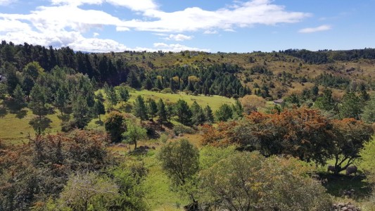 Admiten formalmente un amparo ambiental presentado por vecinos de El Durazno