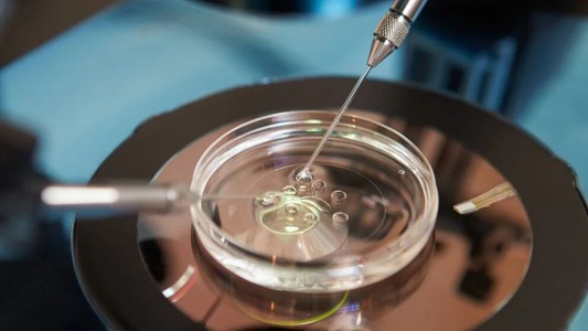 Autorizan a una mujer a obtener esperma de su esposo fallecido