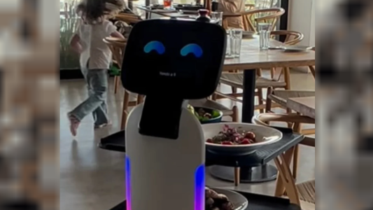 Video: el robot que "trabaja" en Punta del Este