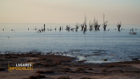 La Naturaleza deslumbrante de Ansenuza