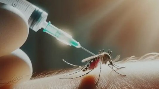 Brasil anunció su vacuna nacional contra el dengue