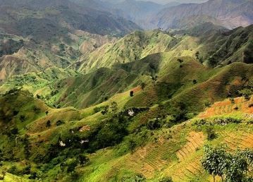 Misterio en Haití: hallaron muertos a 16 miembros de una familia e investigan si los envenenaron