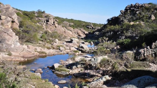 Descubrí las historias que el agua tiene para contarte