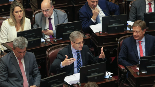 "Si lo hubieran mandado por separado...": la justificación de senadores radicales tras el rechazo al DNU