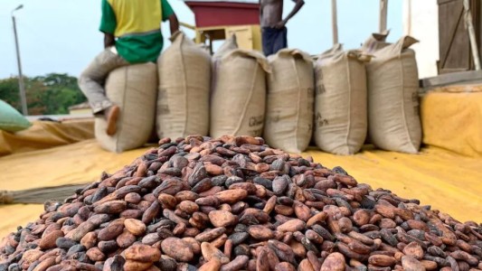 Escasez de cacao: El precio del chocolate se disparará en todo el mundo