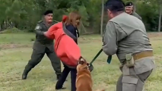 Patricia Bullrich es atacada por un perro de seguridad en demostración de Gendarmería