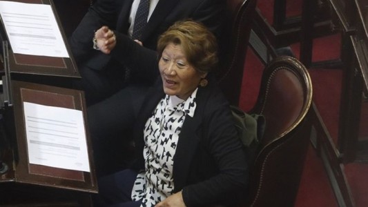 Una senadora libertaria contrató a sus tres hijos y a otros ocho familiares