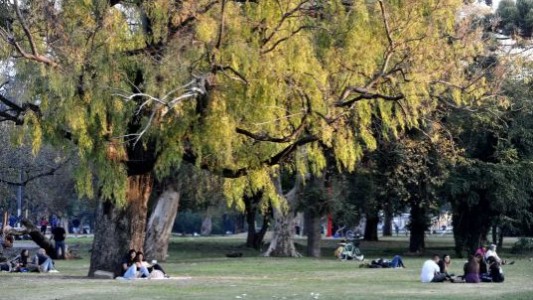 Una joven murió luego de desvanecerse mientras trotaba en La Plata: “Fue desesperante”