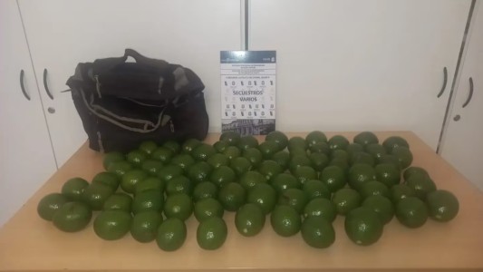 La Plata: detuvieron a tres jóvenes por robar paltas de un hotel alojamiento