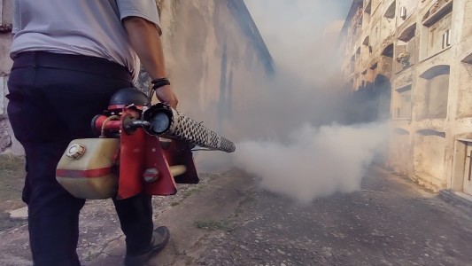 Dengue en Córdoba: confirmaron 8.629 ​ nuevos casos esta semana