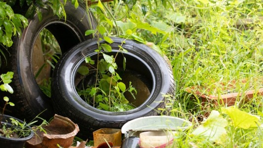 Córdoba: cómo sigue el cronograma de fumigación y descacharrado este miércoles