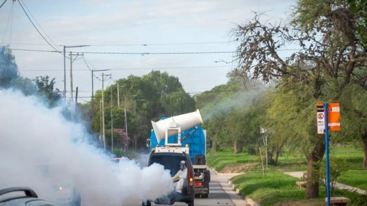 Dengue: cronograma de descacharrado y fumigación para este martes