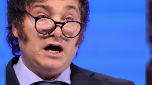 Milei rechazó aplicar la vacuna contra el dengue: "En tres meses los mosquitos habrán desaparecido"