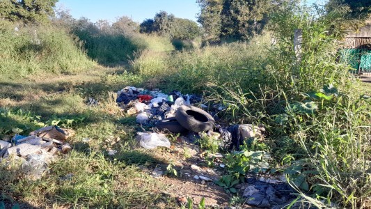 Pastizales altos, basurales a cielo abierto y el calor
