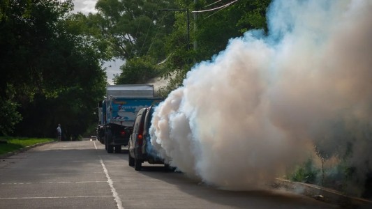 Córdoba: en qué barrios de la ciudad se fumiga este lunes