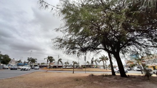 Leve aumento de la temperatura