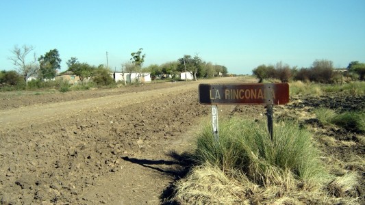 Invasión de mosquitos en el norte de la provincia