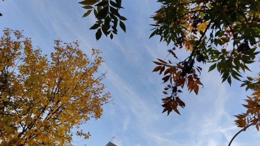 Fin de semana otoñal